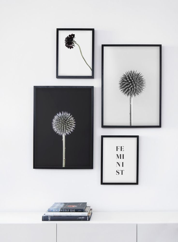 Framed Arts – Light Edition (Black Frame)